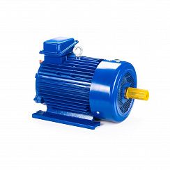 Эл.двигатель 5МТКН 225 L8 37/750  IM 1003
