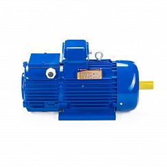 Электродвигатель 5МТН 225 М8 30/750 IM1003
