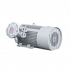Эл.двигатель 2АИМУР 315 L4 У2,5 660/1140В, кл изоляции Н, PBExdI Mb, РТC (статор) подшипники SKF, 315/1500  IM 1001
