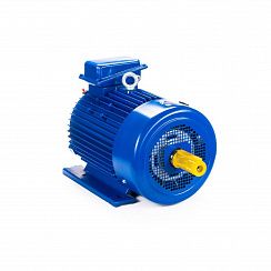Эл.двигатель 5МТКН 225 L8 37/750  IM 1003