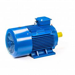 Электродвигатель 5АИ 180 S2 22/3000 IM1001