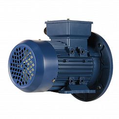 Электродвигатель 5АИ 90 L2 3/3000 IM2081