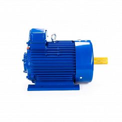 Эл.двигатель 5MTКH 200 LB8 22/750  IM 1003